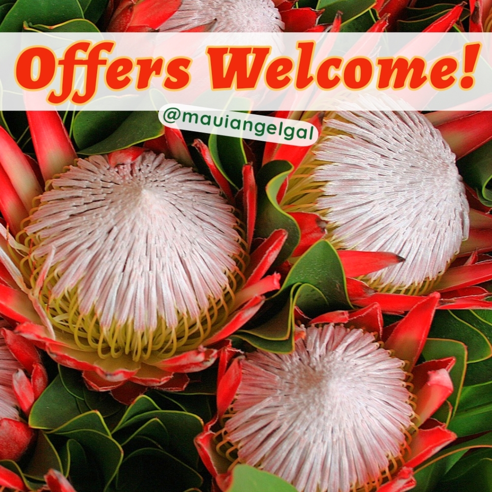 Offers Welcome!